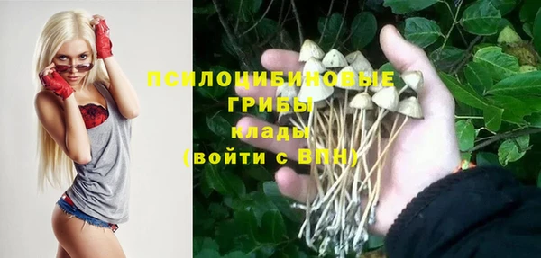 дмт Корсаков