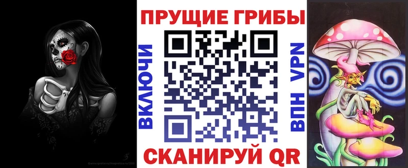 Псилоцибиновые грибы Psilocybe  Козельск 
